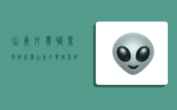 山东外贸职业学院代号,山东外贸职业学院代号多少