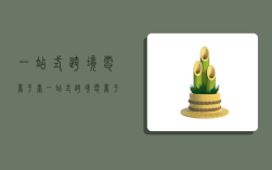 一站式跨境电商平台,一站式跨境电商平台有哪些