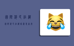国际移民组织,国际移民组织认为患者安全就是