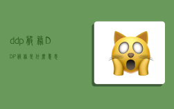 ddp服务,DDP服务是什么意思