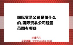 国际贸易公司是做什么的,国际贸易公司经营范围有哪些（国际贸易公司主要做什么）