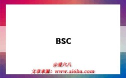 BSC（bsci认证费用一般要多少钱）