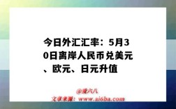 今日外汇汇率：5月30日离岸人民币兑美元、欧元、日元升值