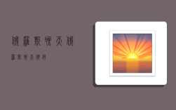 俄罗斯聊天,俄罗斯聊天软件