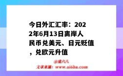 今日外汇汇率：2022年6月13日离岸人民币兑美元、日元贬值，兑欧元升值