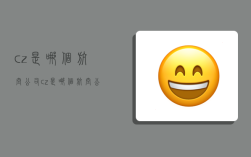 cz是哪个航空公司,cz是哪个航空公司代码