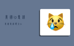 美国ip专线,美国专线独立ip