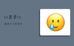 bs标准,bs标准是什么意思