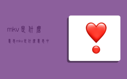 mkv是什么意思,mkv是什么意思中文