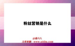 粉丝营销是什么（粉丝营销是什么意思）
