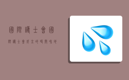 国际护士会,国际护士会成立的时间和地点