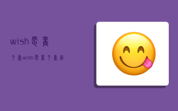 wish电商平台,wish电商平台官网
