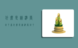 什么是精准营销平台,什么是精准营销平台呢