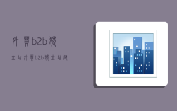 外贸b2b独立站,外贸b2b独立站建站
