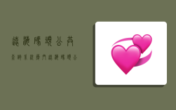 远海码头公共查询系统,厦门远海码头公共查询系统