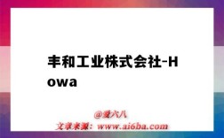 丰和工业株式会社-Howa（丰和工业株式会社）