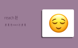 reach什么意思,reach什么意思英语翻译