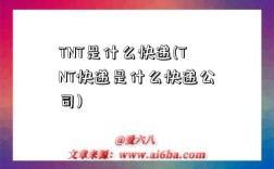 TNT是什么快递(TNT快递是什么快递公司)