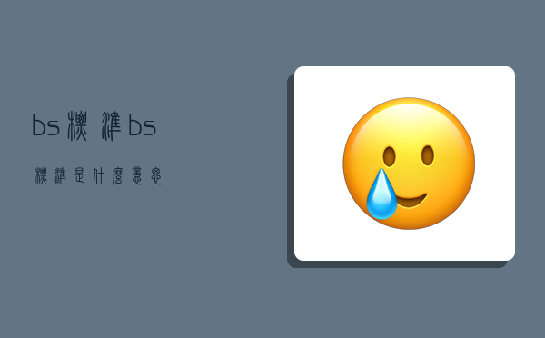 bs标准,bs标准是什么意思-图1