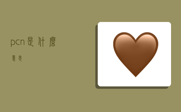pcn是什么意思-图1