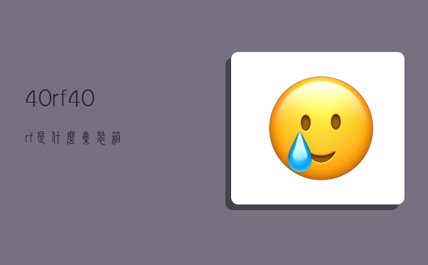 40rf,40rf是什么集装箱-图1