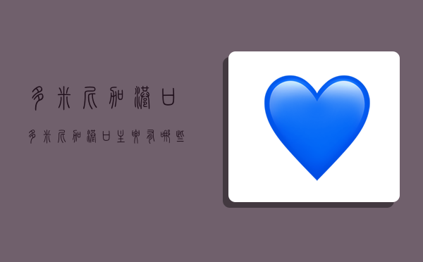多米尼加港口,多米尼加港口主要有哪些?-图1