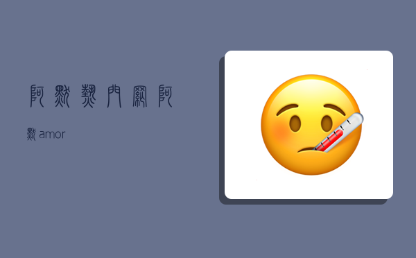 阿默热门网,阿默amor-图1
