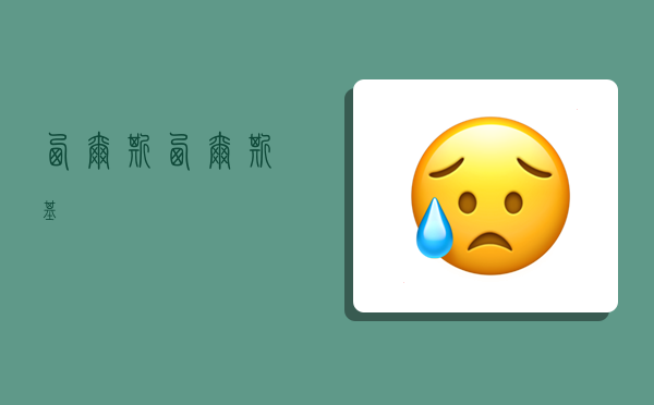 西尔斯,西尔斯基-图1