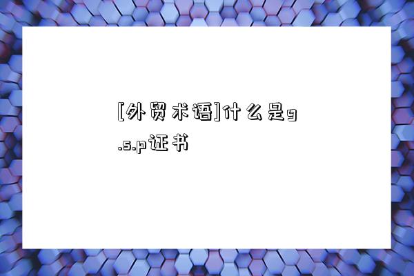 [外贸术语]什么是g.s.p证书-图1