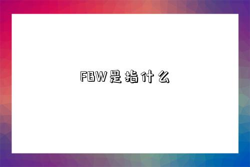 FBW是指什么-图1